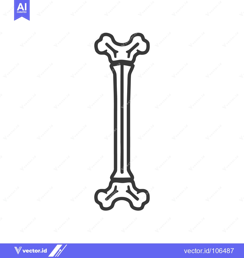 Premium Vector of Femur Bone Outline: Anatomical Illustration for Medical or Educational