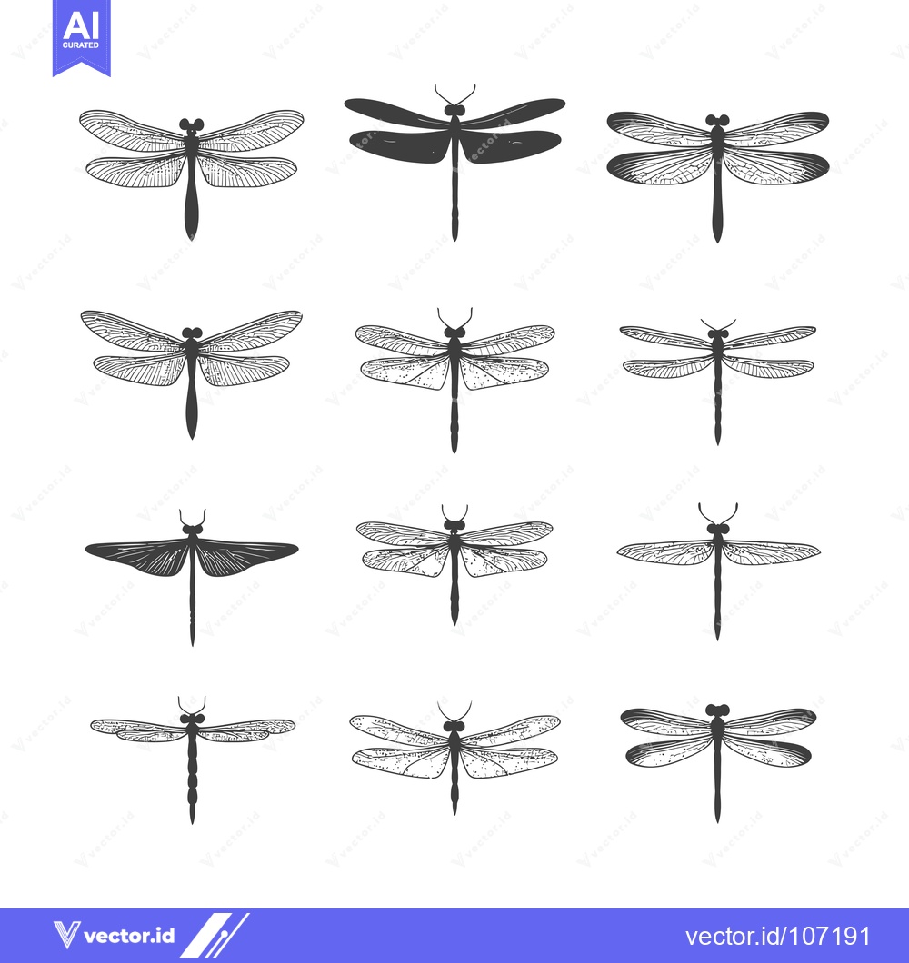 Premium Vector of Twelve Detailed Hand-Drawn Dragonfly Illustrations