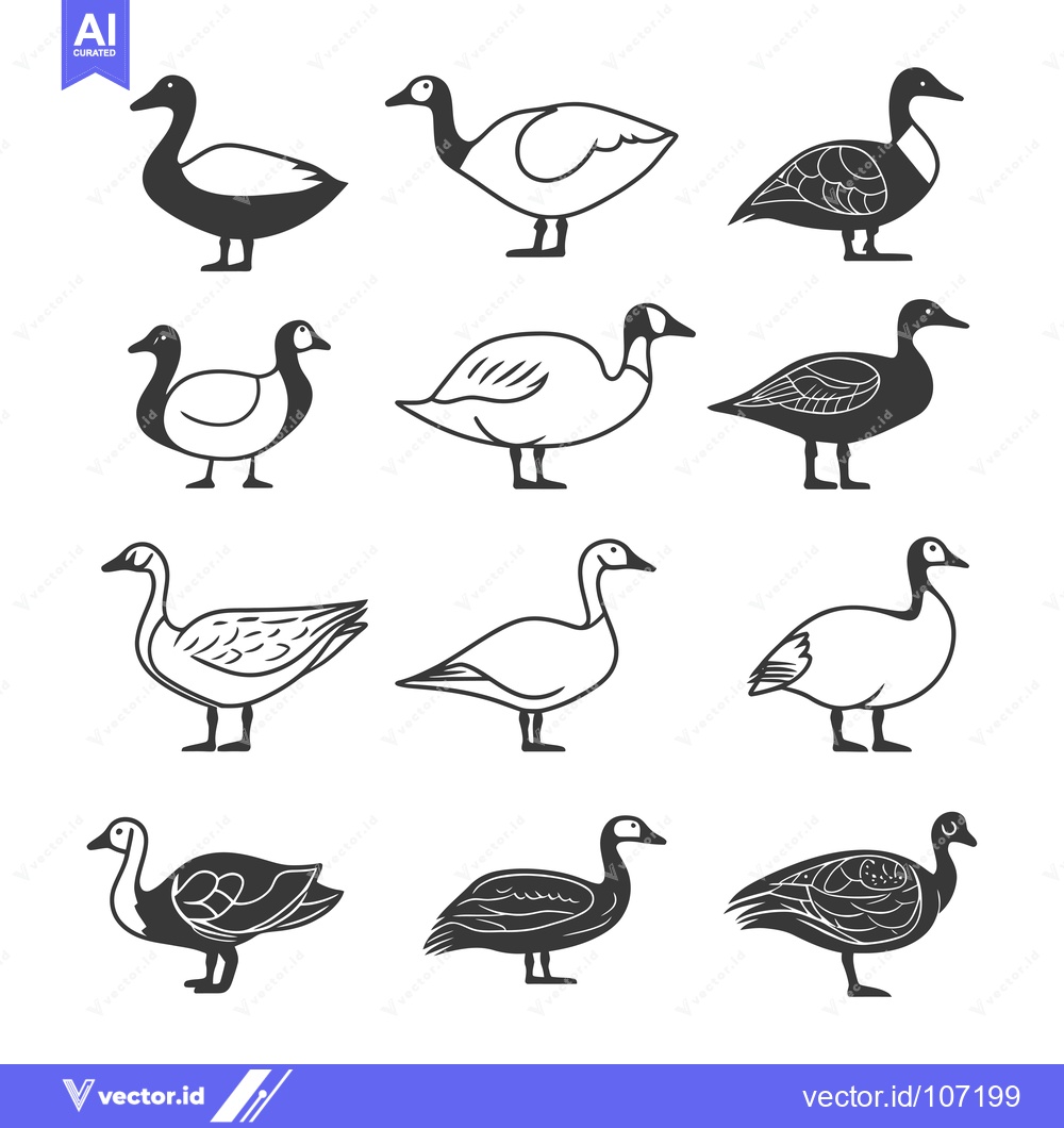 Premium Vector of Twelve Diverse Goose Illustrations in Black and White