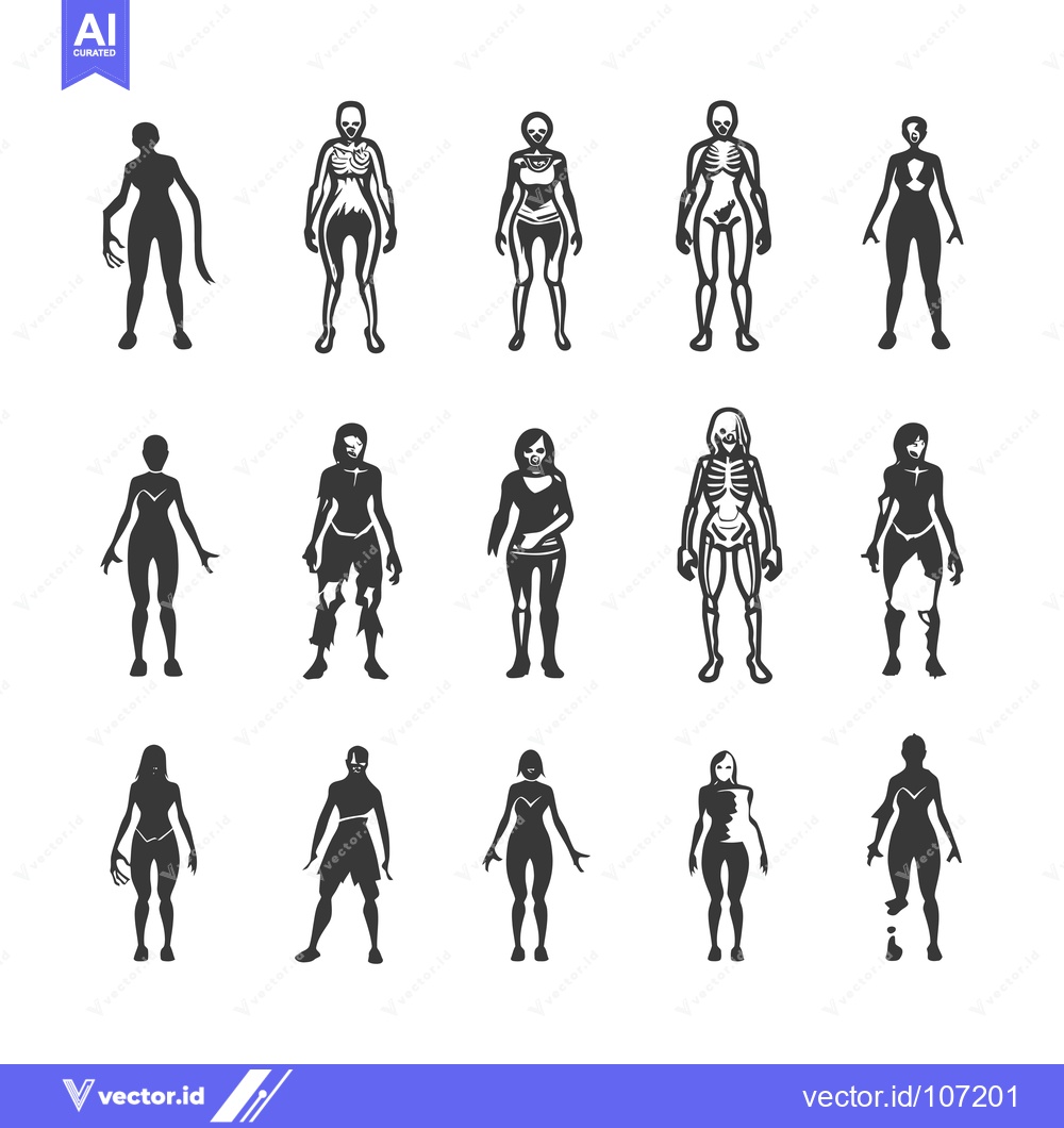 Premium Vector of Twelve Female Figures in Various Stages of Decay