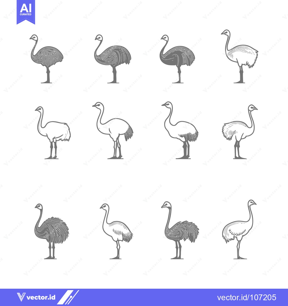 Premium Vector of Twelve Grey Outline Illustrations of Emus in Different Poses