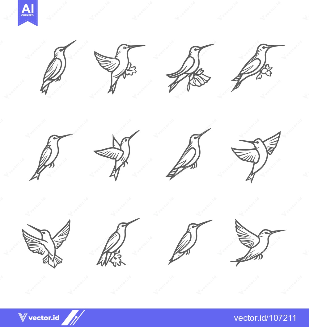Premium Vector dari Twelve Hummingbird Illustrations in Various Poses