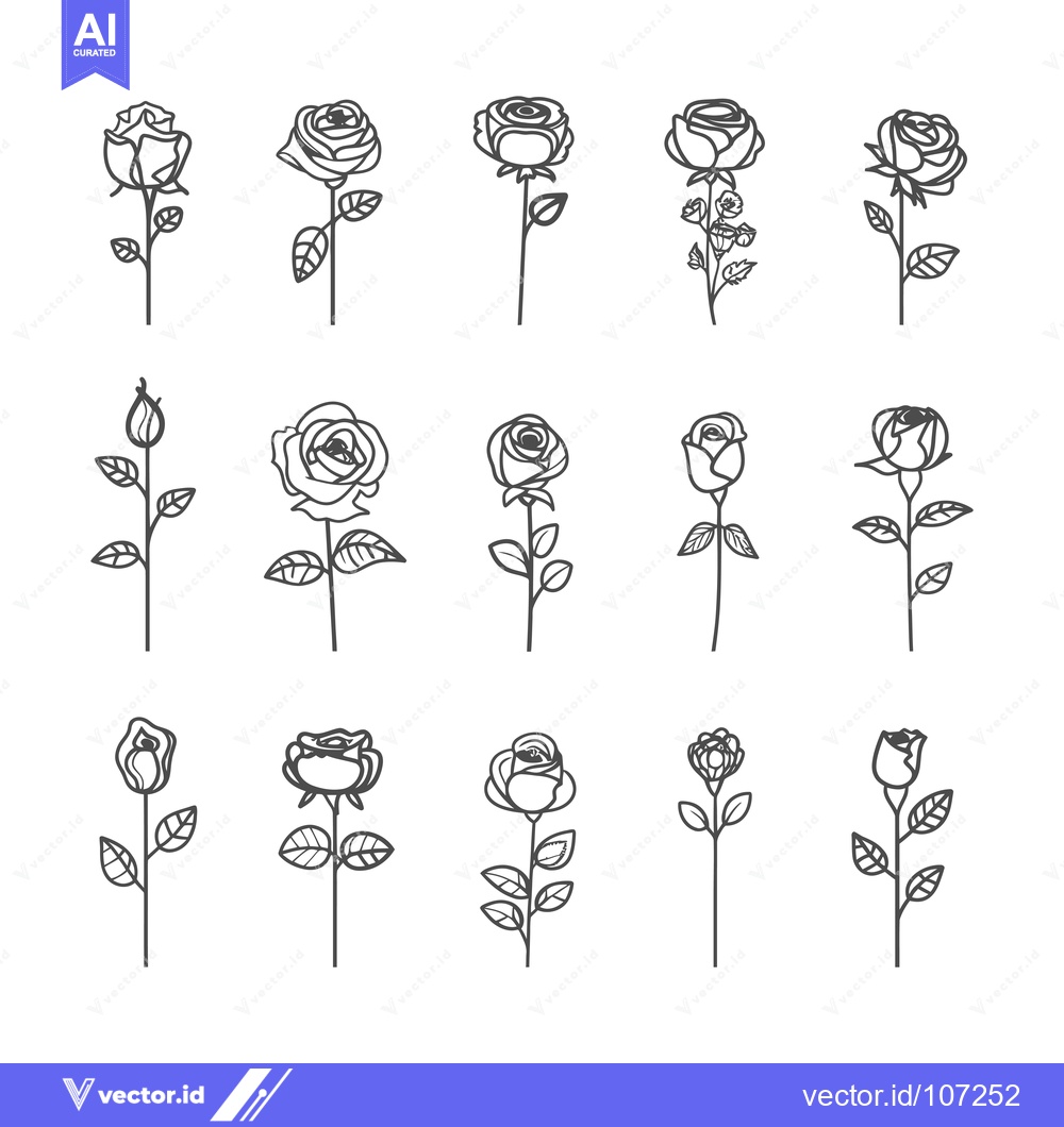 Premium Vector of Twelve Simple Line Drawings of Roses in Various Stages of Bloom