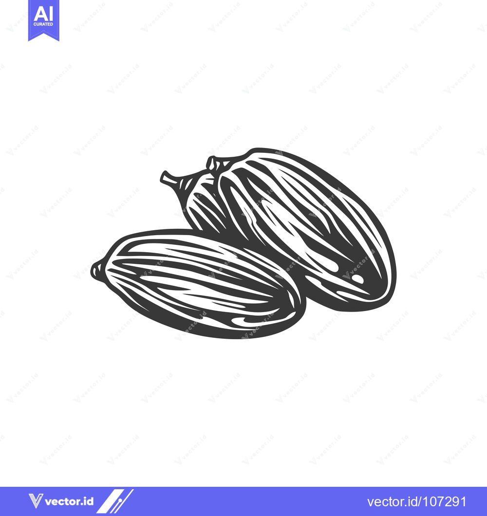 Premium Vector dari Two Almonds, Hand-Drawn Illustration