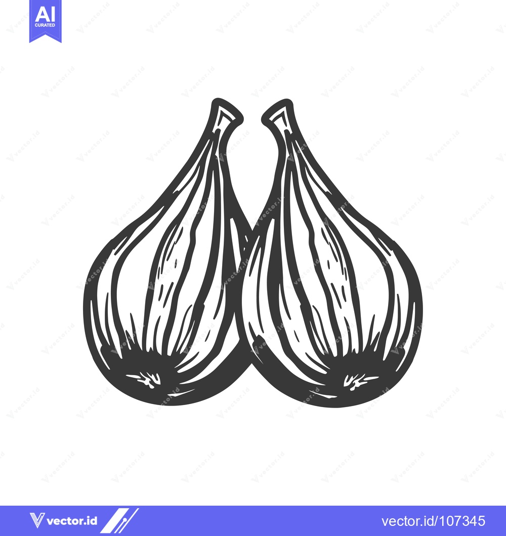 Premium Vector dari Two Black and White Hand-Drawn Figs