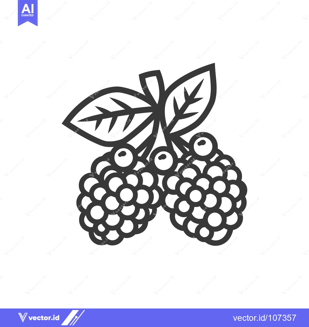 Premium Vector dari Two Blackberries with a Leaf Stem