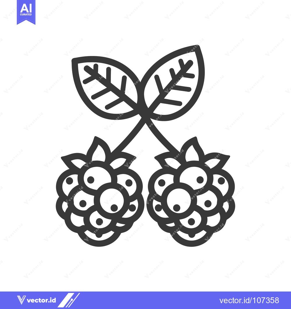 Premium Vector dari Two Blackberries with Leaf Stem