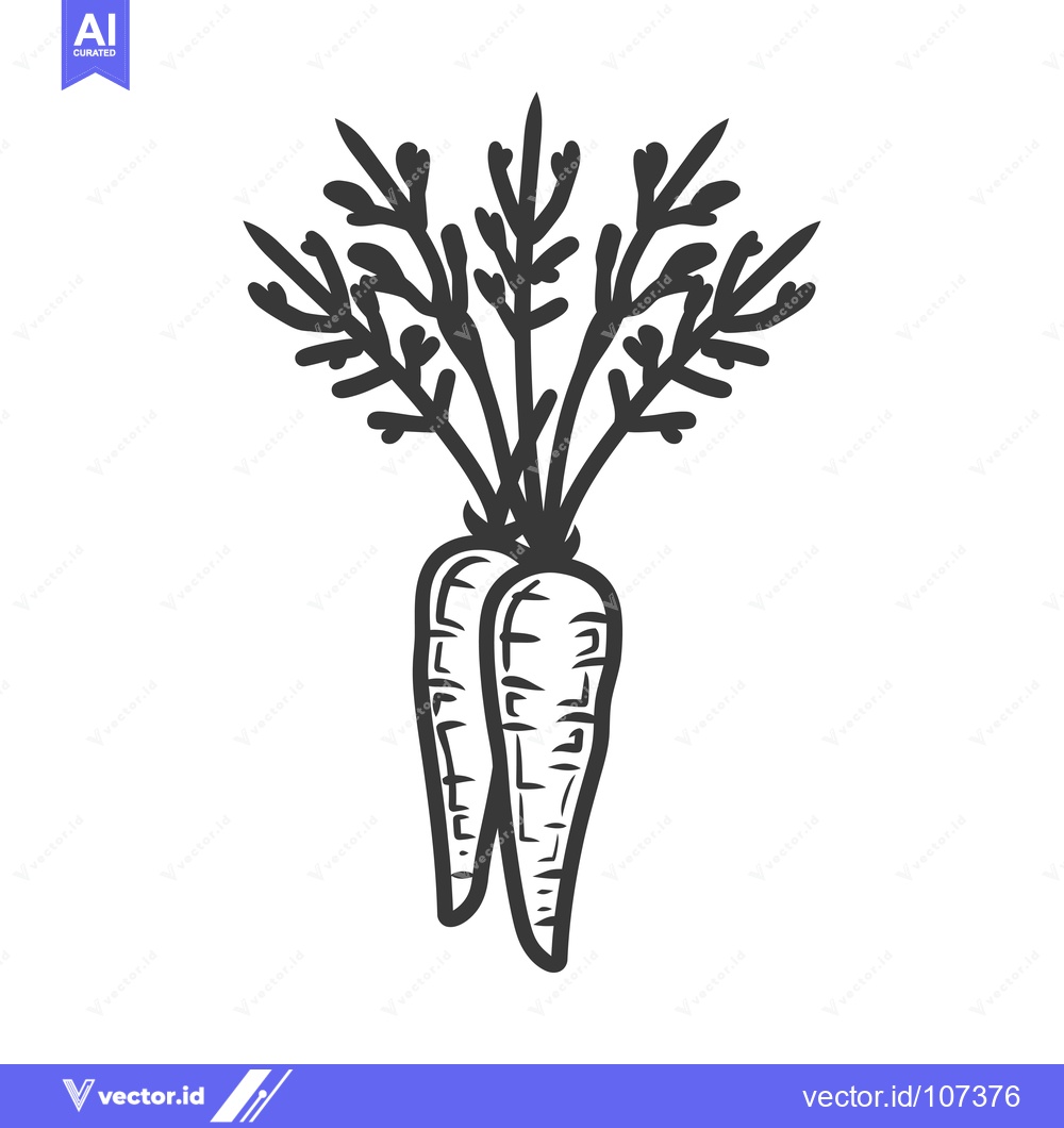 Premium Vector of Two Carrots with Green Tops