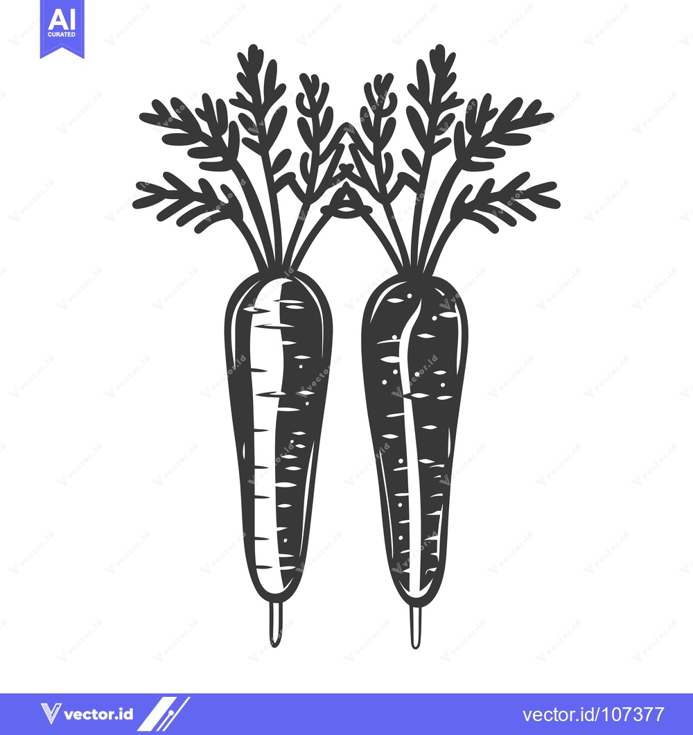 Premium Vector of Two Carrots with Green Tops in Black and White