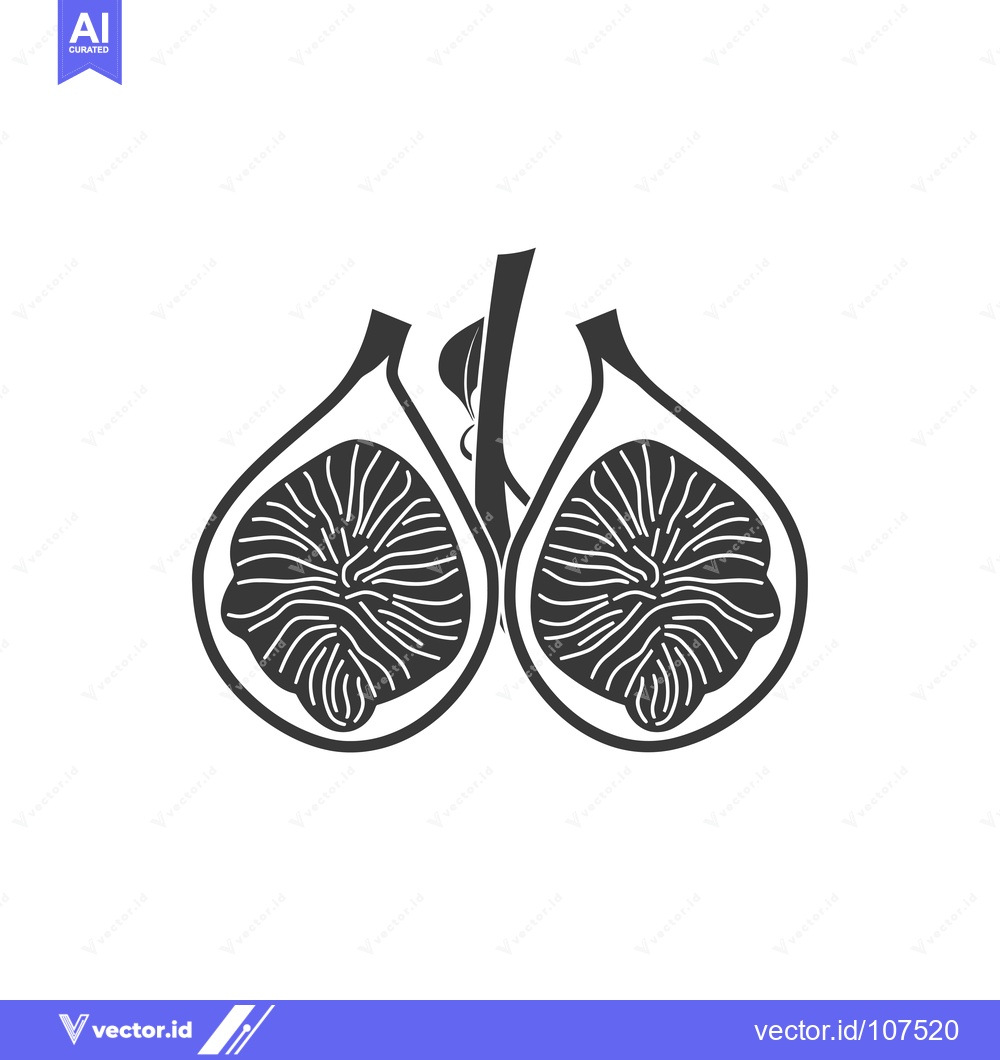 Premium Vector dari Two Halved Figs on a Stem with a Leaf