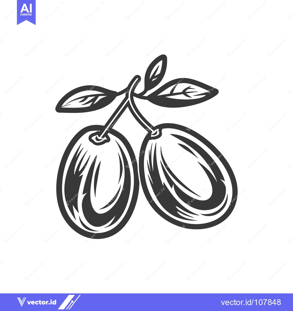 Premium Vector dari Two plums with leaves on a stem
