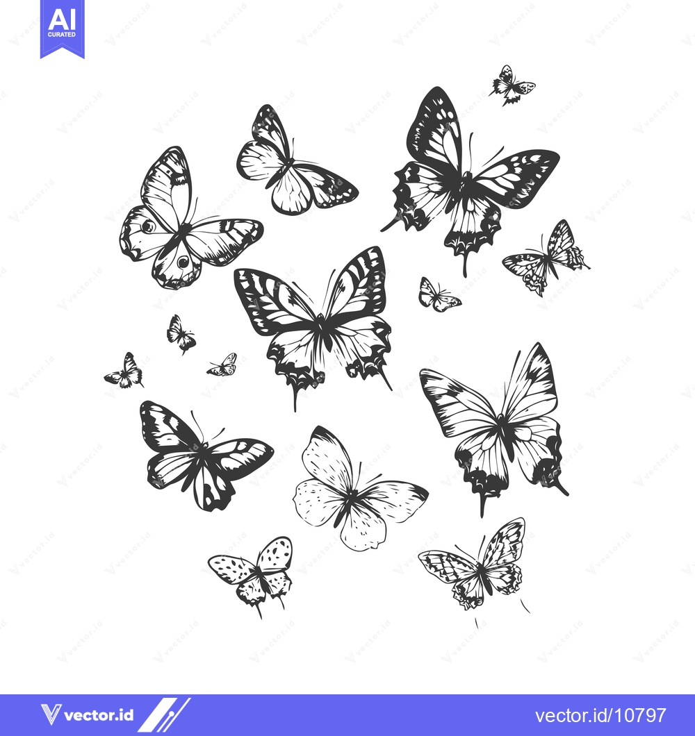 Premium Vector dari A Black and White Sketch of Butterflies in Flight