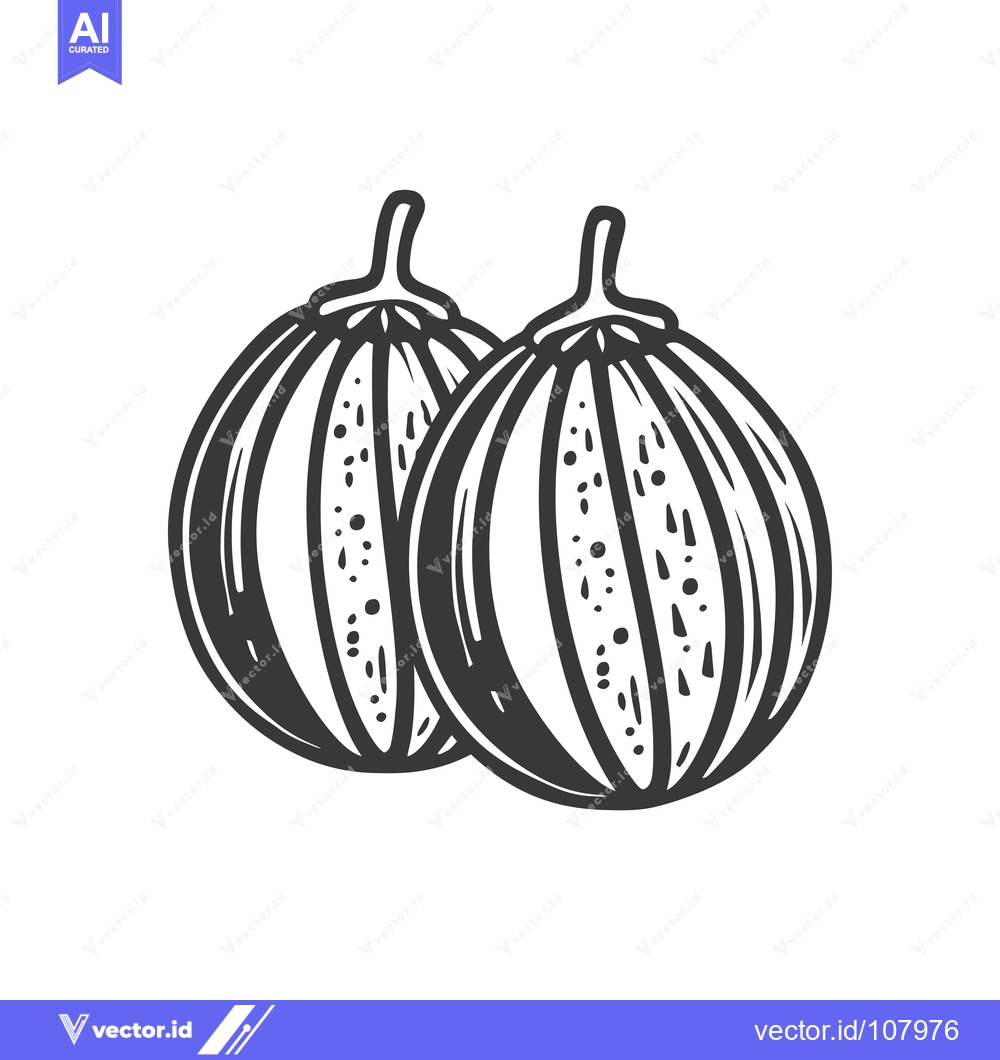 Premium Vector of Two Whole Black and White Melon Fruits