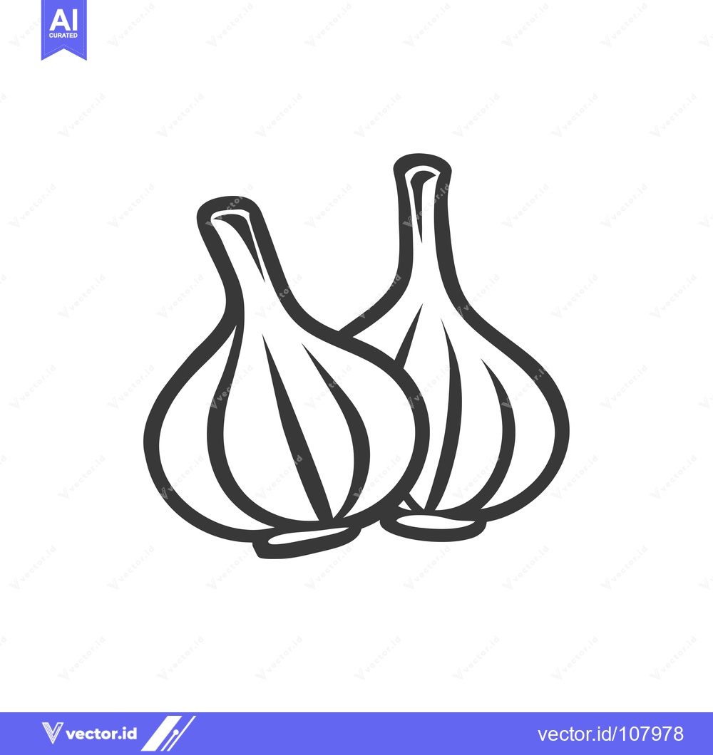 Premium Vector of Two whole garlic bulbs, outlined in black