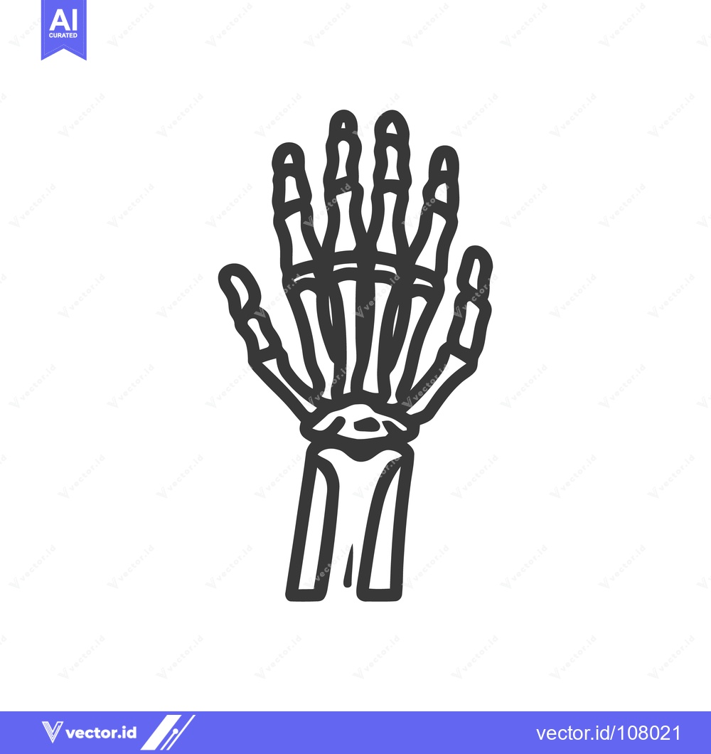 Premium Vector dari Minimalist Skeleton Hand Illustration on White Background, Anatomical