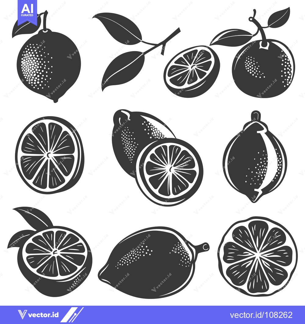 Premium Vector dari Vintage monochrome illustrations of lemons and limes