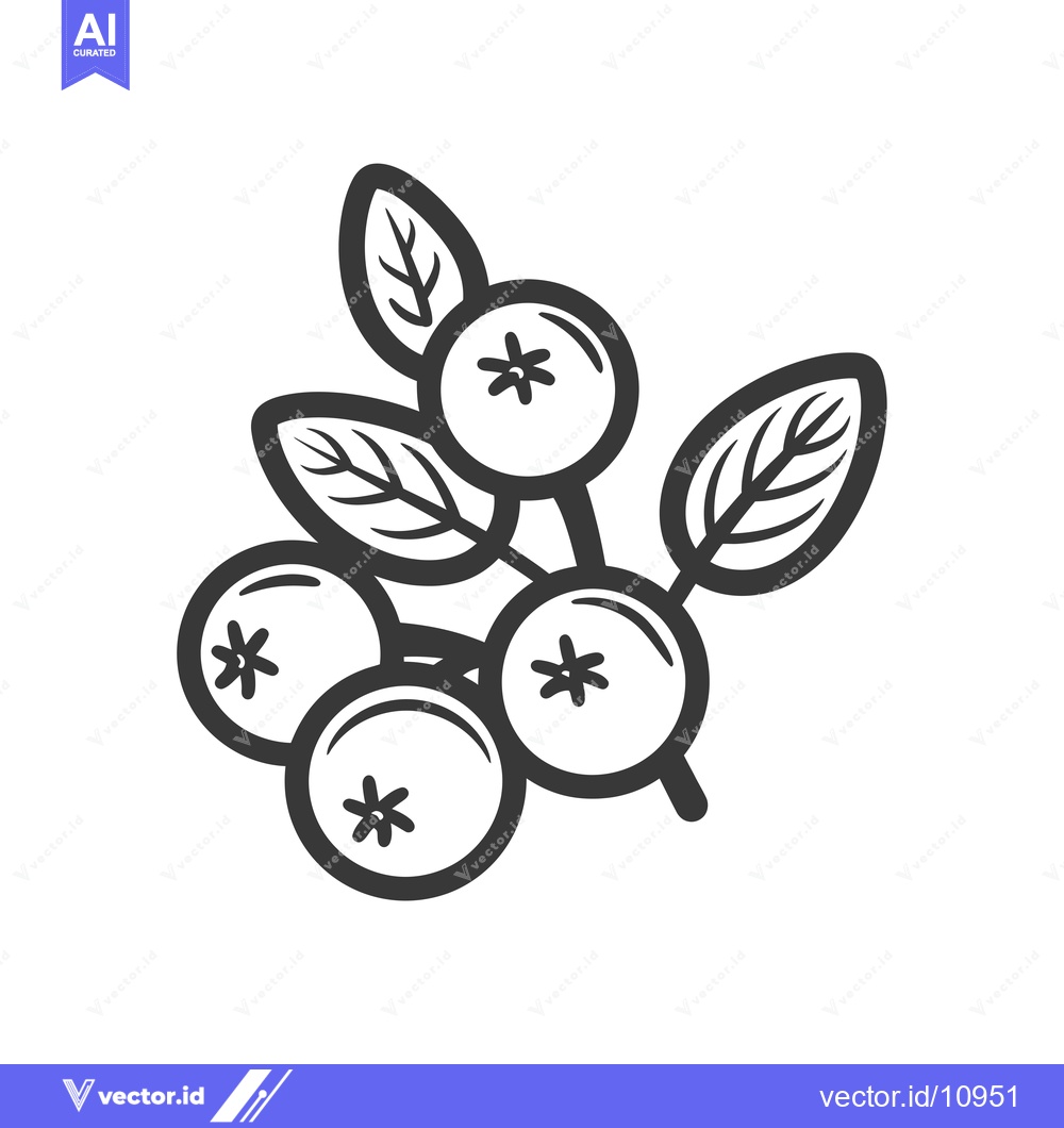 Premium Vector of A Branch of Four Black and White Berries with Leaves