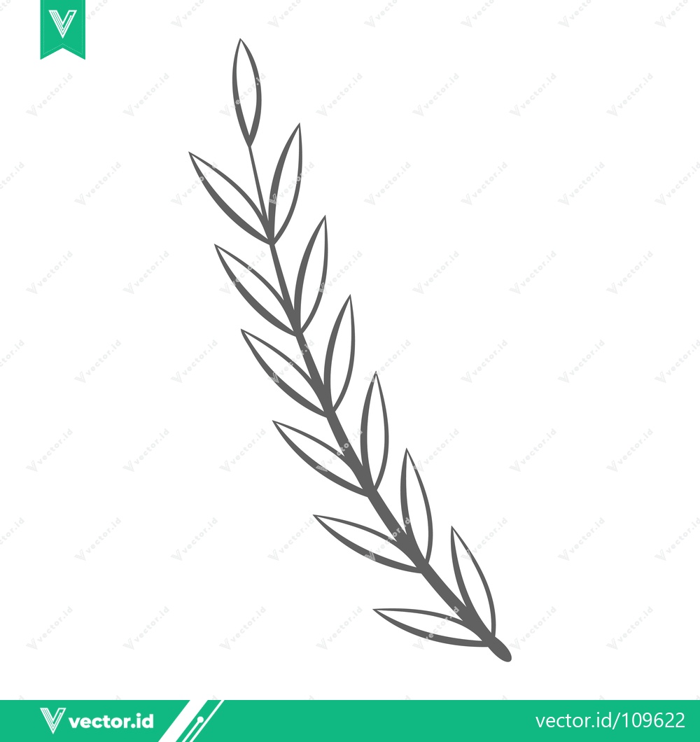 Premium Vector of Minimalist botanical illustration of a delicate olive branch with leaves
