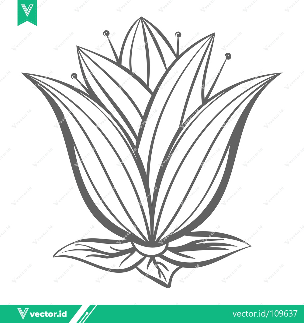 Premium Vector dari Elegant Stylized Flower Illustration with Petals and Stamens