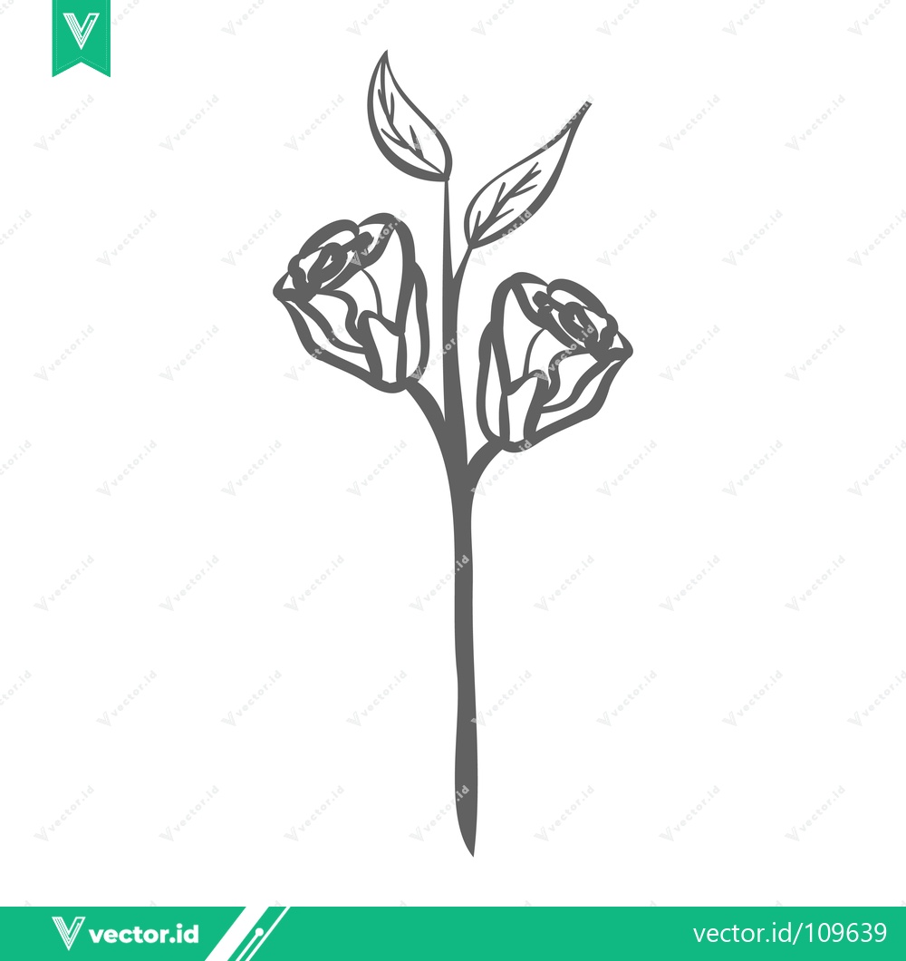 Premium Vector of Minimalist Line Art of Two Blooming Roses with Leaves