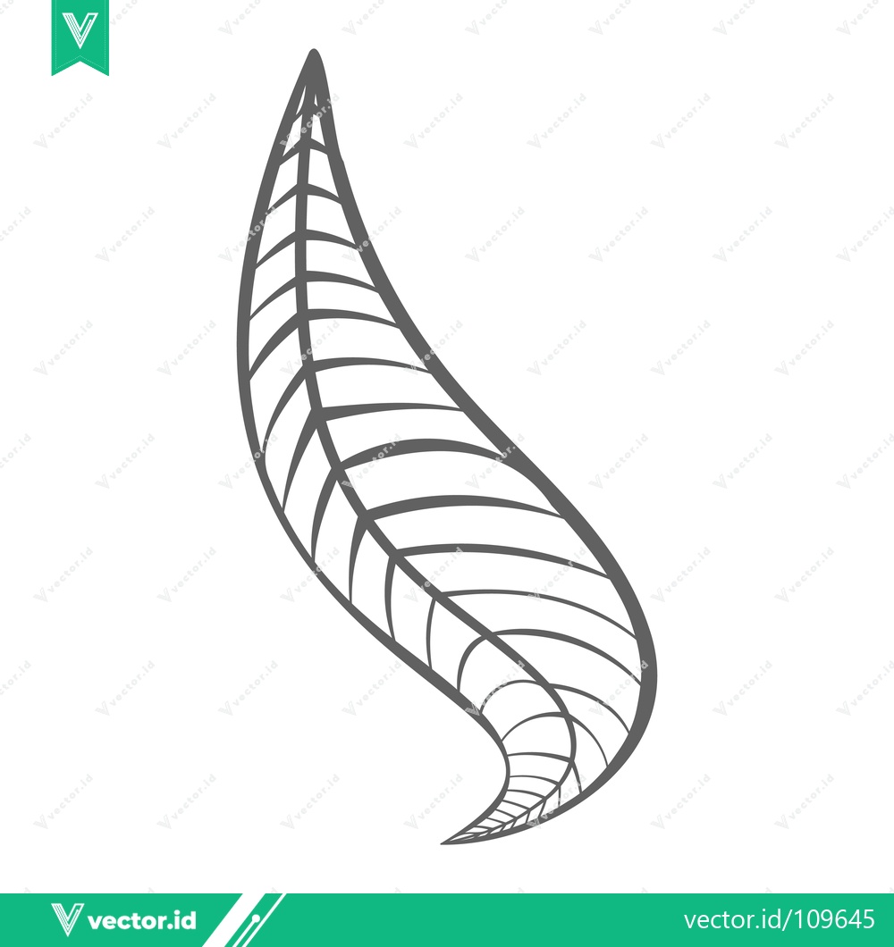 Premium Vector dari Elegant Hand-Drawn Leaf Illustration with Vein Detail