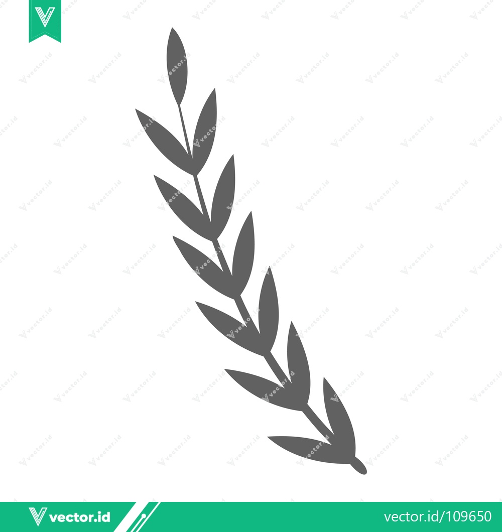 Premium Vector of Minimalist botanical illustration of a single olive branch