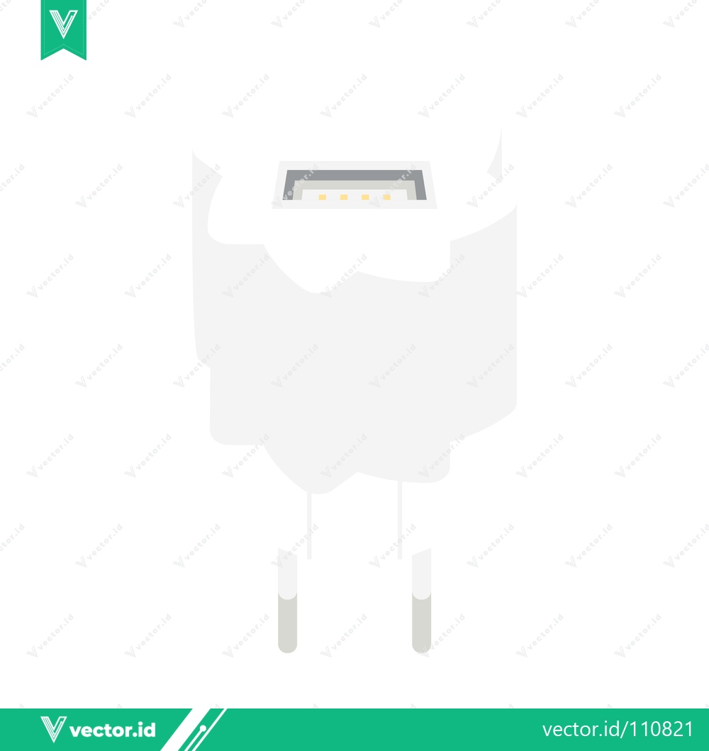 Premium Vector of White USB Power Adapter with Two Pins