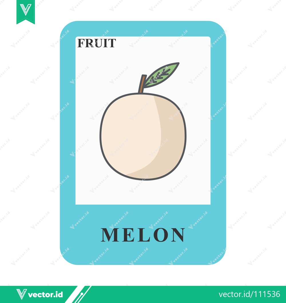 Premium Vector of Simple illustration of a melon on a flashcard for learning