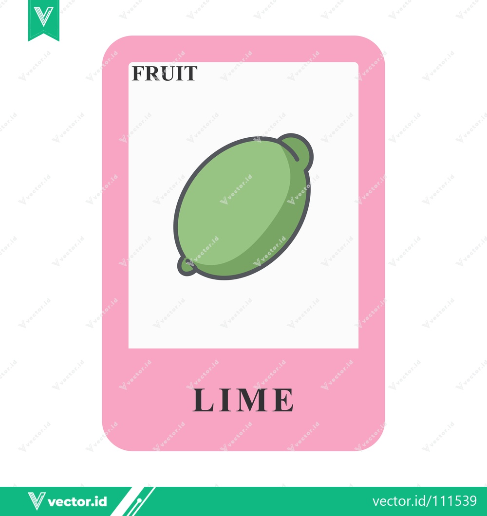 Premium Vector dari A simple illustration of a green lime on a white background labeled as fruit