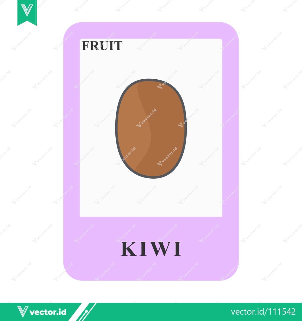 Premium Vector of Illustration of a single kiwi fruit on a white background with the word KIWI and FRUIT displayed