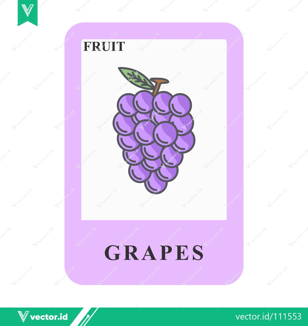 Premium Vector dari Illustration of a bunch of purple grapes labeled as fruit