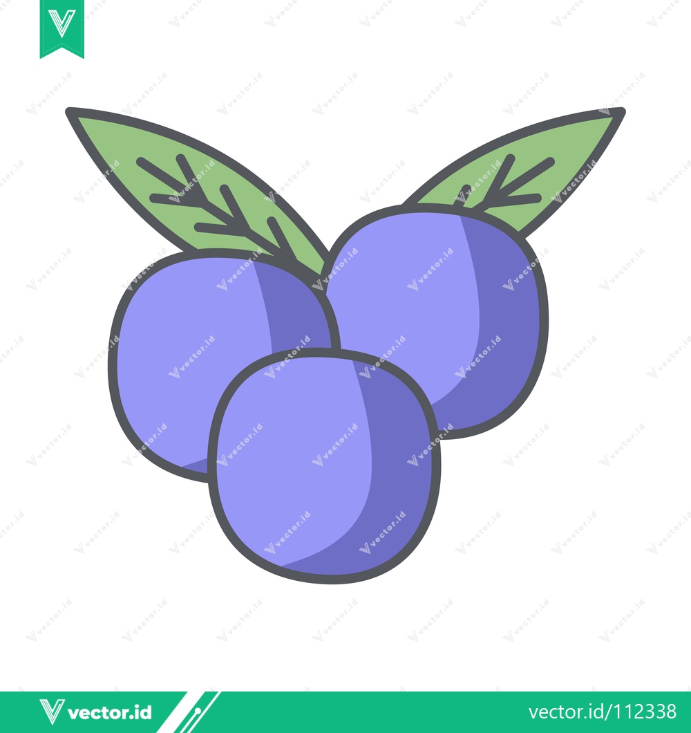 Premium Vector of Simple Illustration of Three Blueberries with Leaves