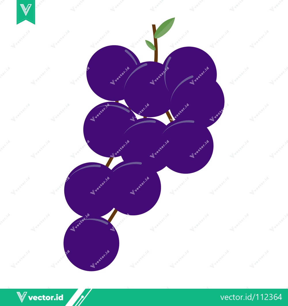 Premium Vector dari Illustration of a Bunch of Purple Grapes on a White Background