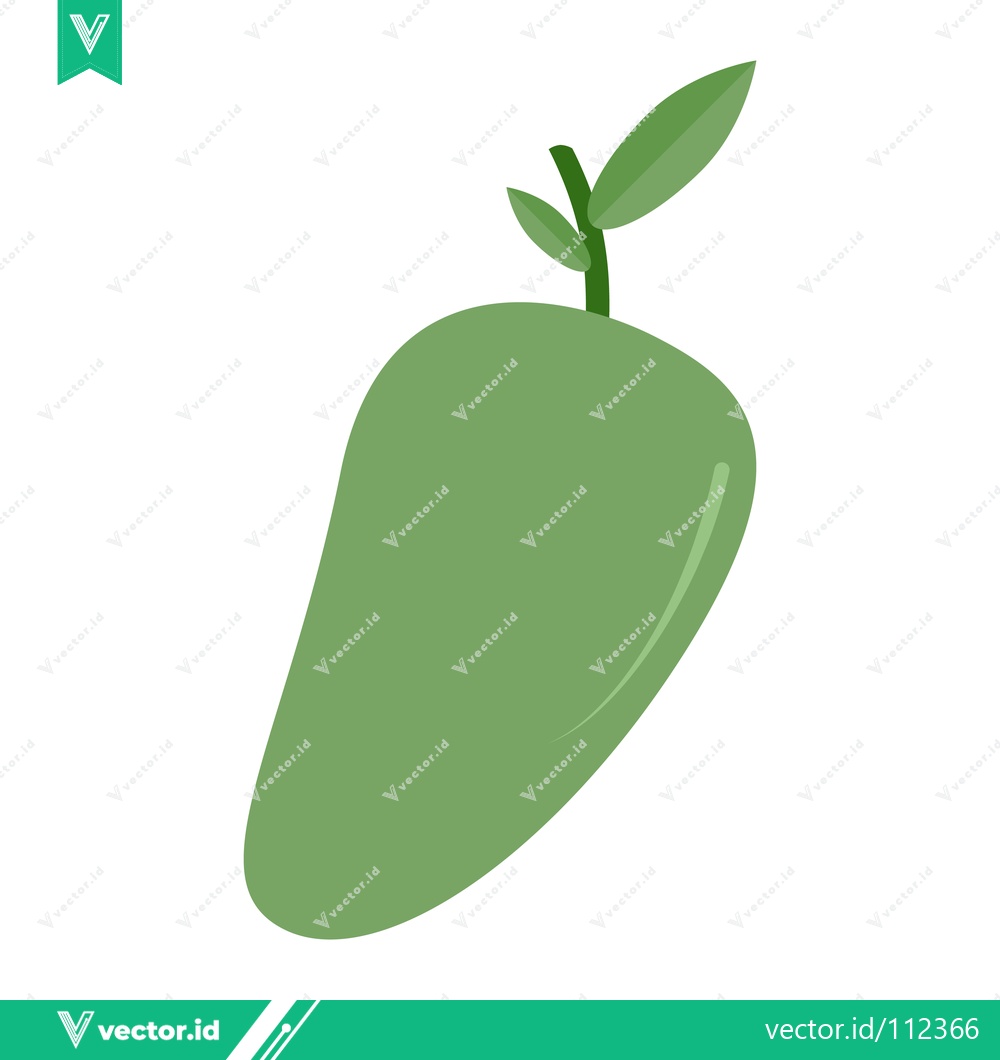 Premium Vector of Green Mango Fruit with Leaves Illustration