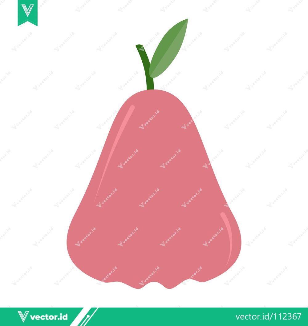 Premium Vector dari Pink Rose Apple Fruit Illustration Isolated on White Background