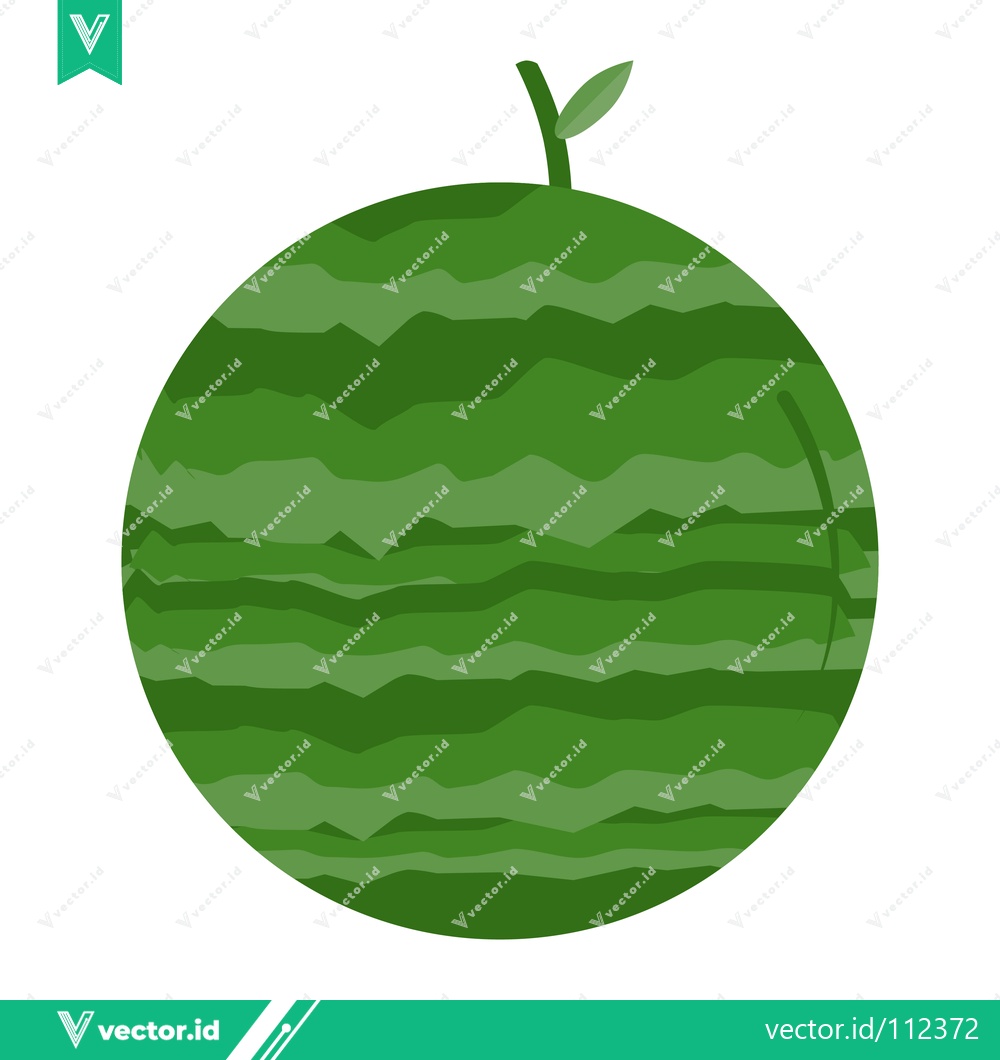Premium Vector dari Simple Green Watermelon Illustration with Stem and Leaf