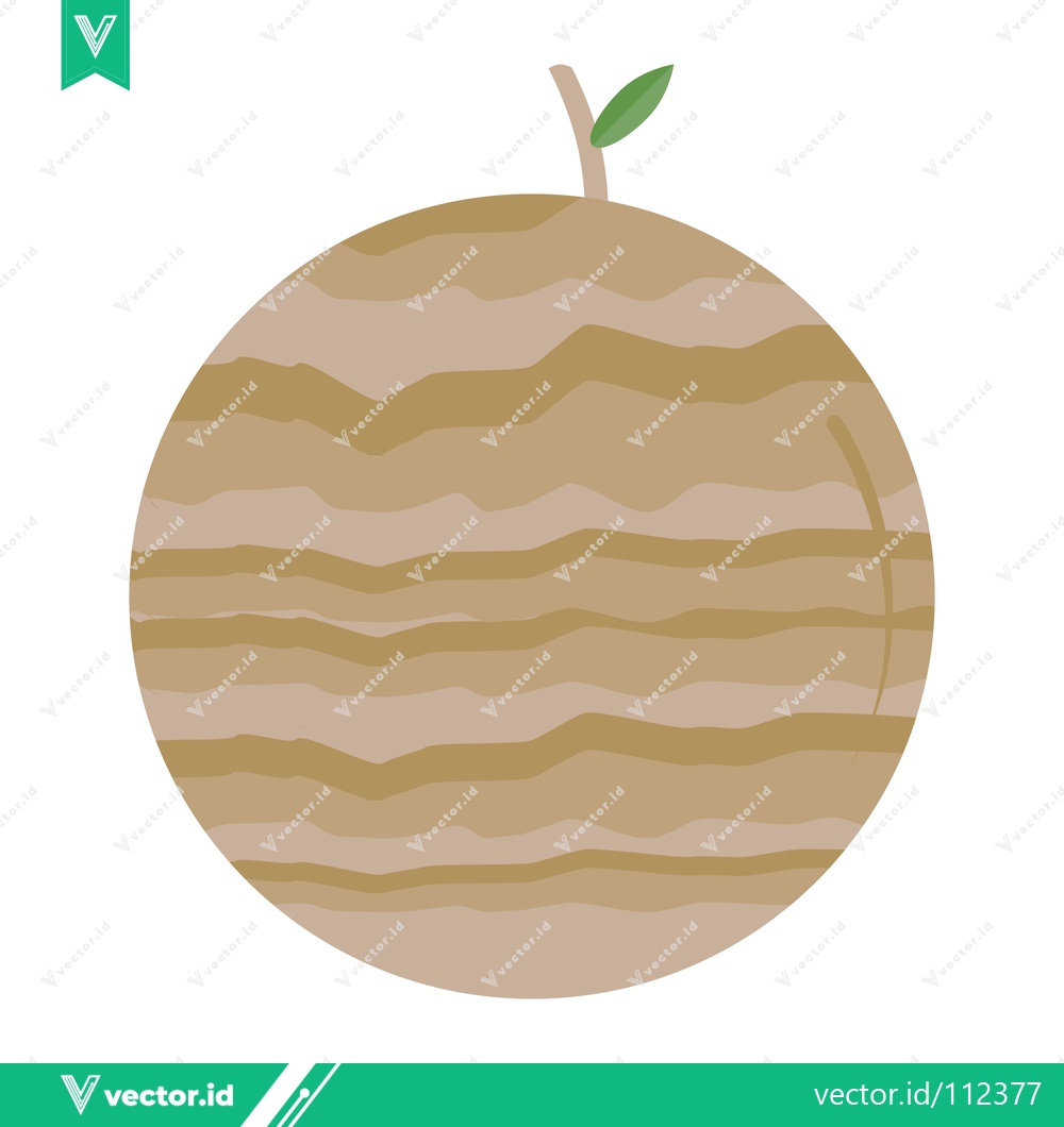 Premium Vector dari Stylized Illustration of a Cantaloupe Melon with Stem and Leaf