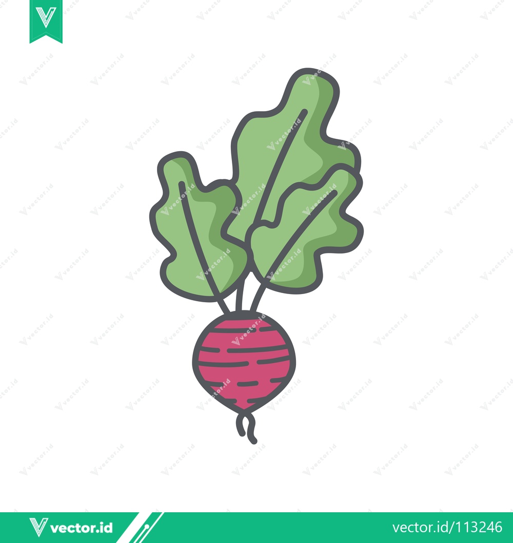 Premium Vector dari Hand-drawn illustration of a fresh beetroot with green leaves