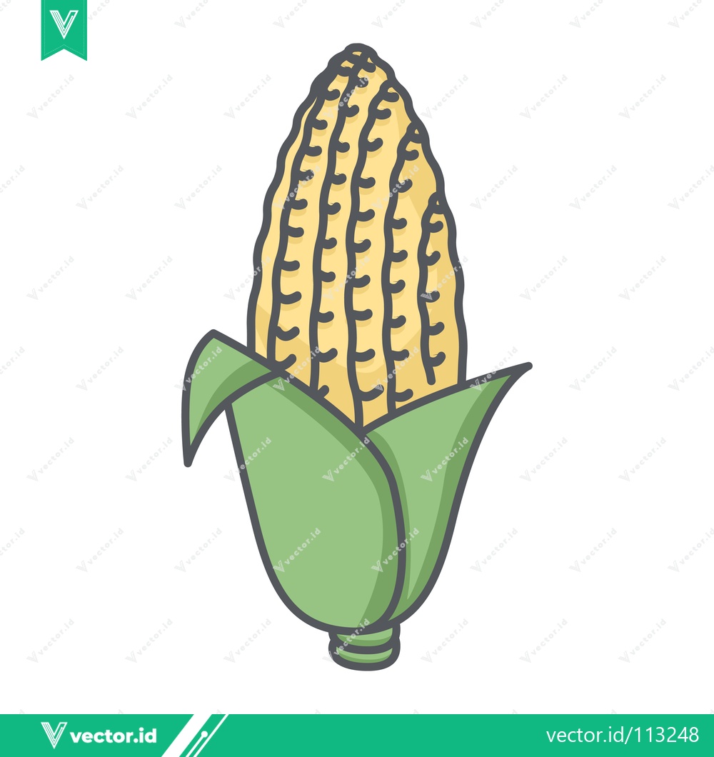 Premium Vector of A simple cartoon illustration of a fresh ear of corn with green husks