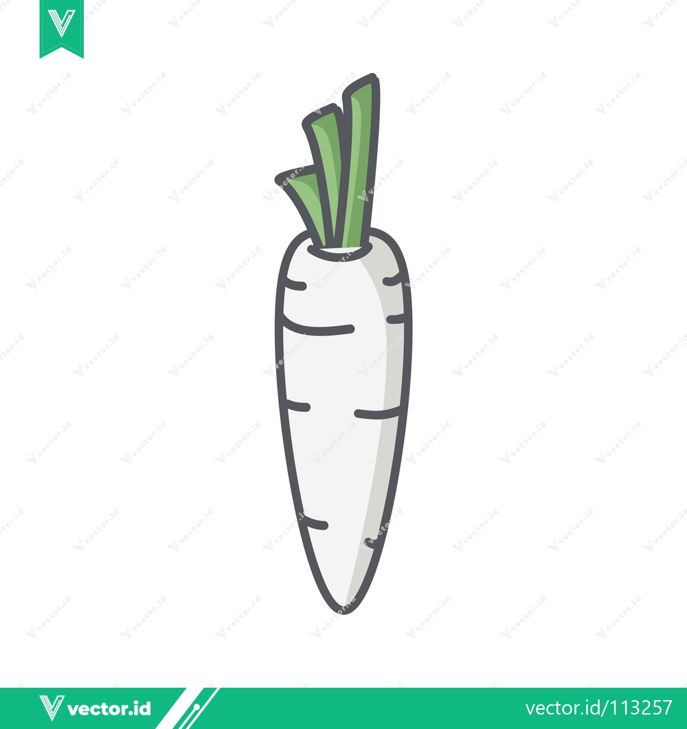 Premium Vector dari Simple White Radish Vegetable Illustration