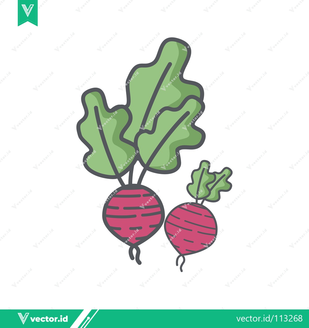 Premium Vector dari Hand Drawn Illustration of Fresh Beets with Green Leaves