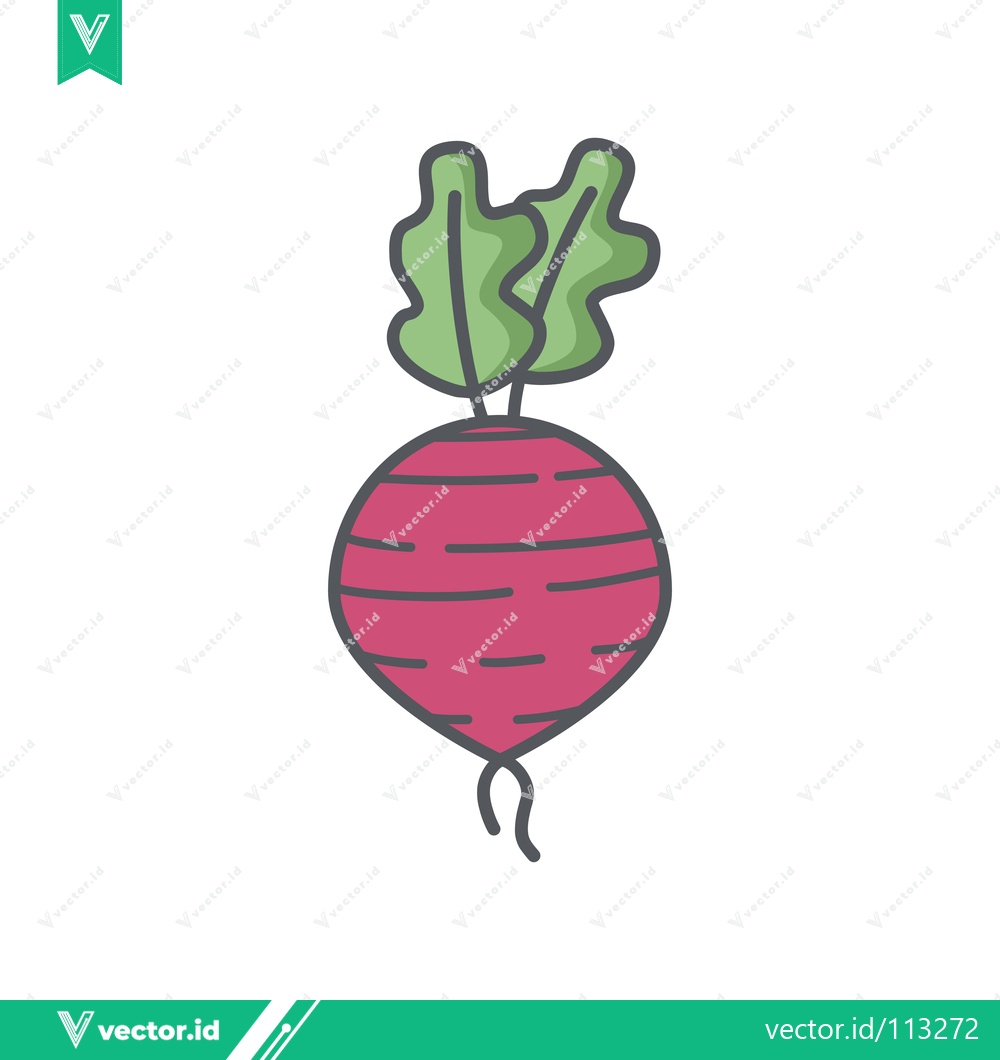 Premium Vector of Hand-drawn illustration of a single beetroot with green leaves
