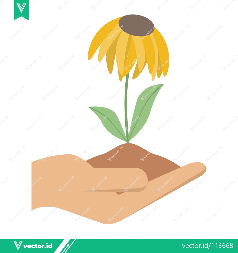 Premium Vector dari Hand holding a blooming yellow flower seedling in soil