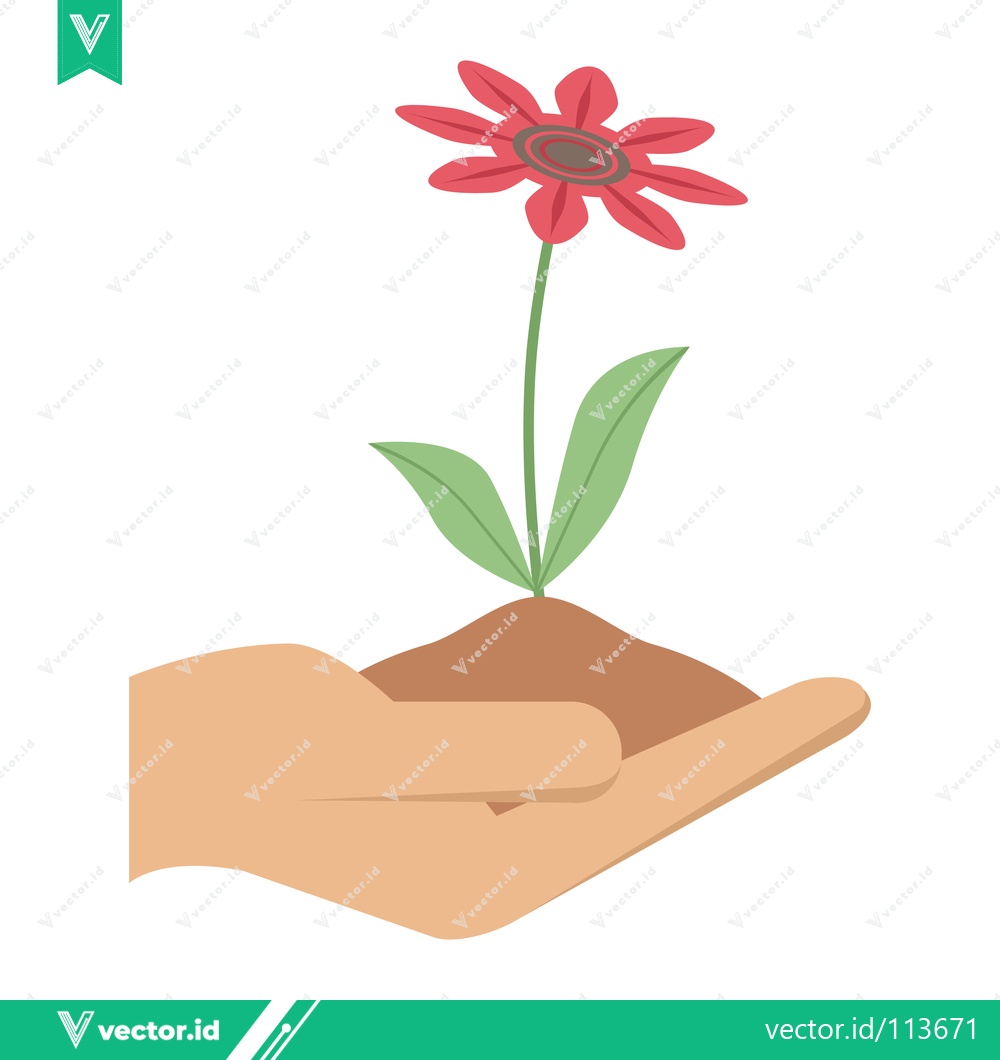 Premium Vector dari Hand holding a blooming red flower seedling in soil
