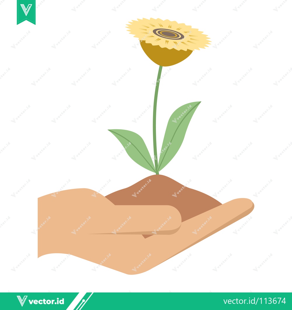 Premium Vector dari Hand holding a blooming yellow flower in soil symbolizing growth and care