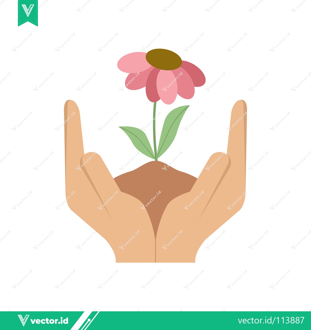 Premium Vector dari Hands Gently Holding a Blooming Pink Flower in Soil