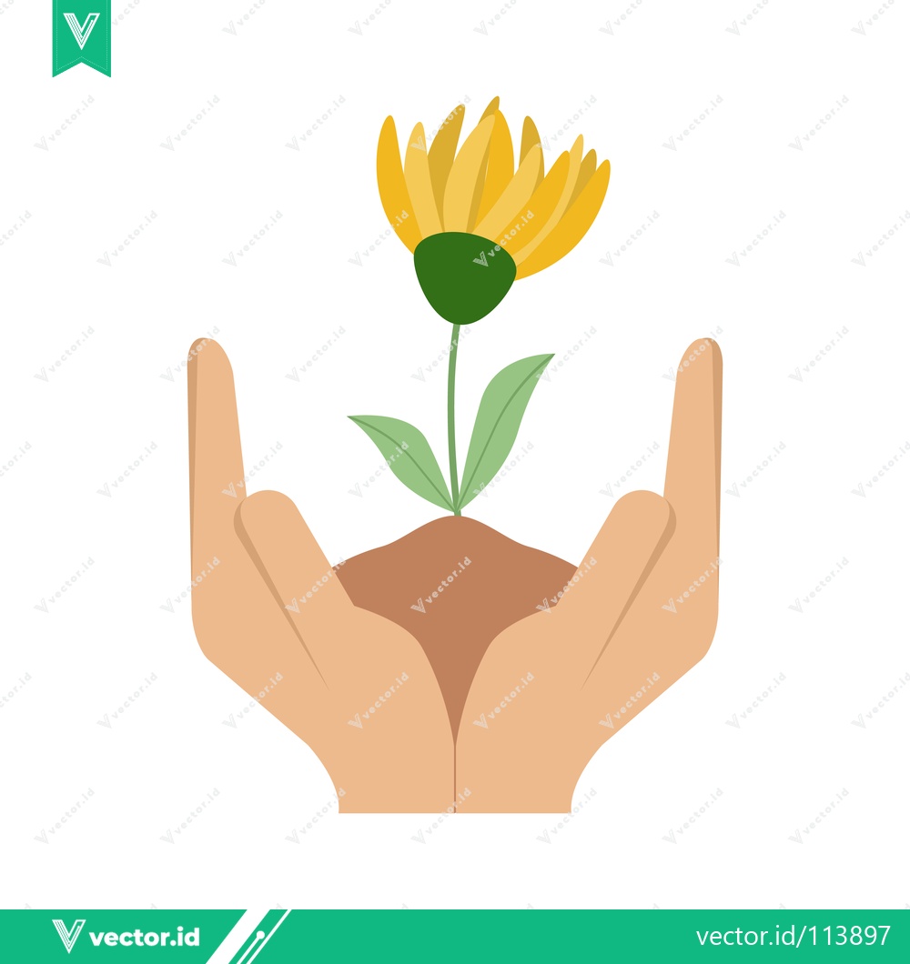 Premium Vector dari Hands Gently Holding Blooming Yellow Flower Growing from Soil