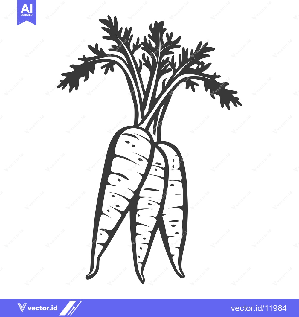 Premium Vector dari A bunch of three carrots with leaves