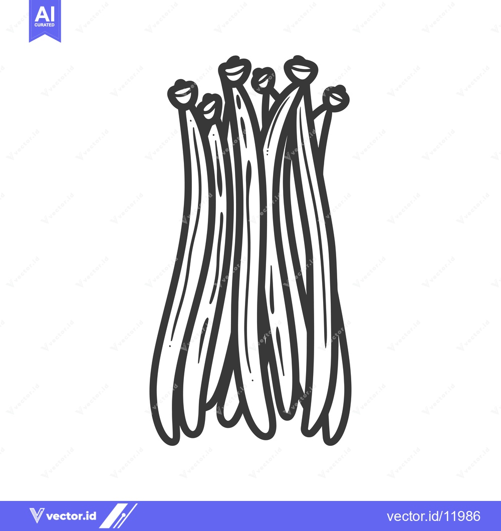 Premium Vector dari A Bundle of Black and White Line Drawn String Beans