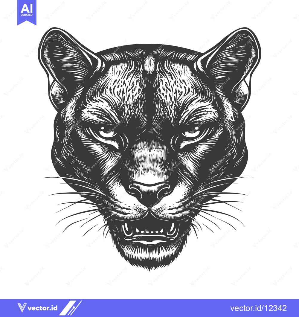 Premium Vector of A Close-Up of a Growling Cougar's Face in a Detailed Line Art Illustra